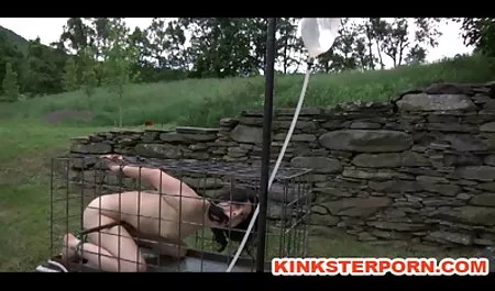 لوکس لوکس هارپر خواسته دانلود فیلم اچ دی سوپر های یک مرد را برآورده می کند
